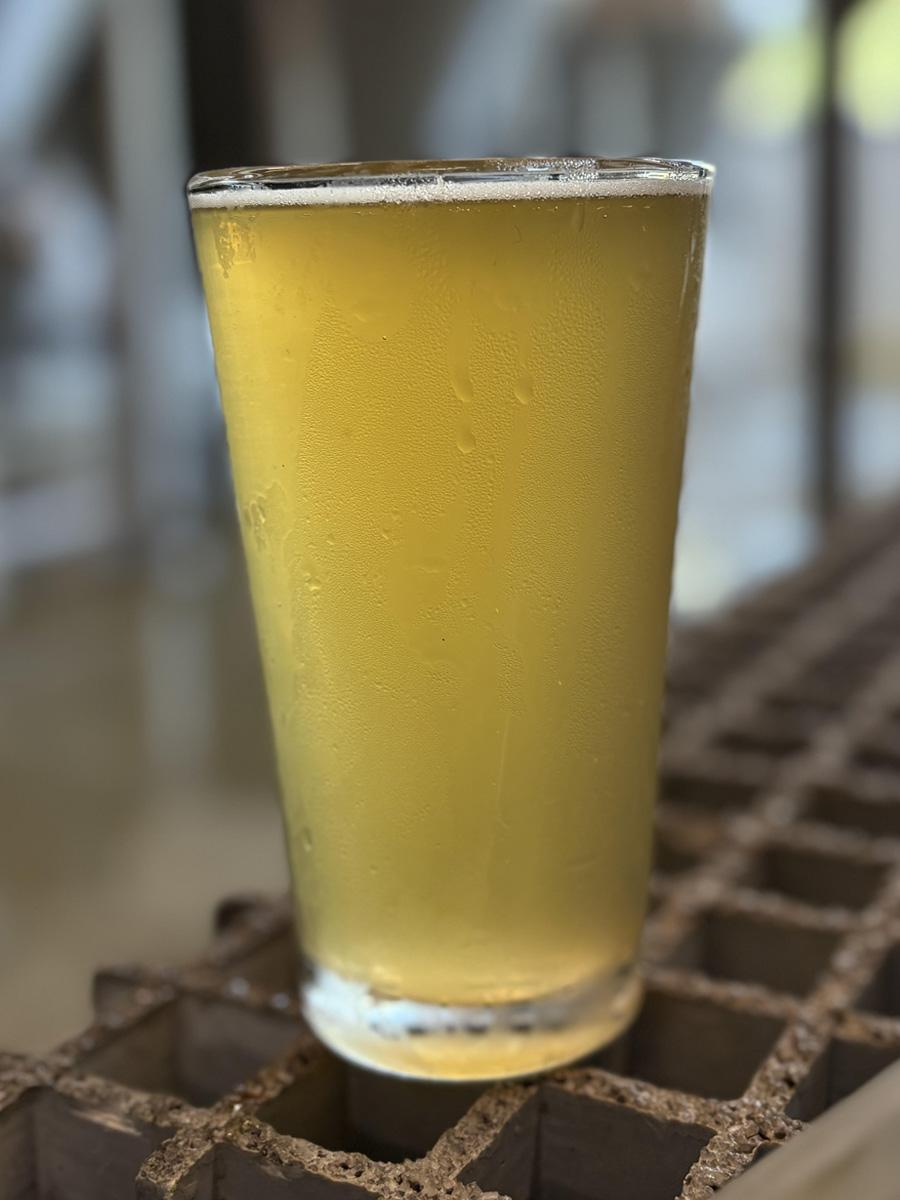Prickly Pear Wheat Ale